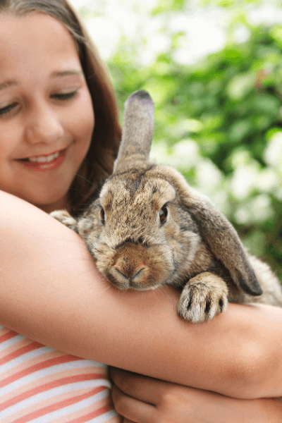 Girl holding rabbit